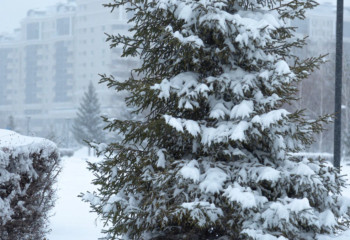 12 қазанда ауа райы қандай болады