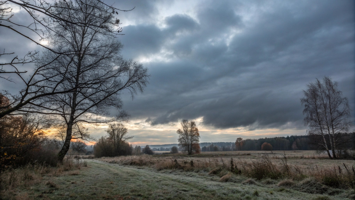  © El.kz / Recraft / Динмухамед БЕЙСЕМБАЕВ 