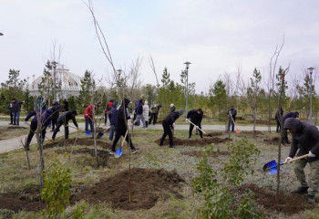 Елордадағы «Көктал» саябағында 300-ден аса түп ағаш отырғызылды