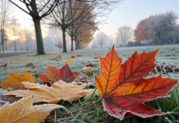 Заморозки, туман и грозы: погода испытает казахстанцев 14 октября