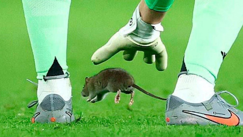  Скриншот видео 