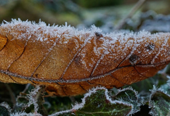 Үсік, жел, өрт қаупі: 16 қазанға арналған ауа райы болжамы