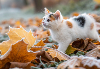 Ветер и перепады температур: чего ждать казахстанцам от погоды 16 октября