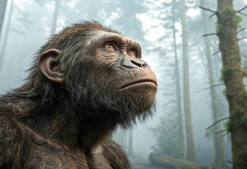 Древний родственник человека оказался мастером точных движений