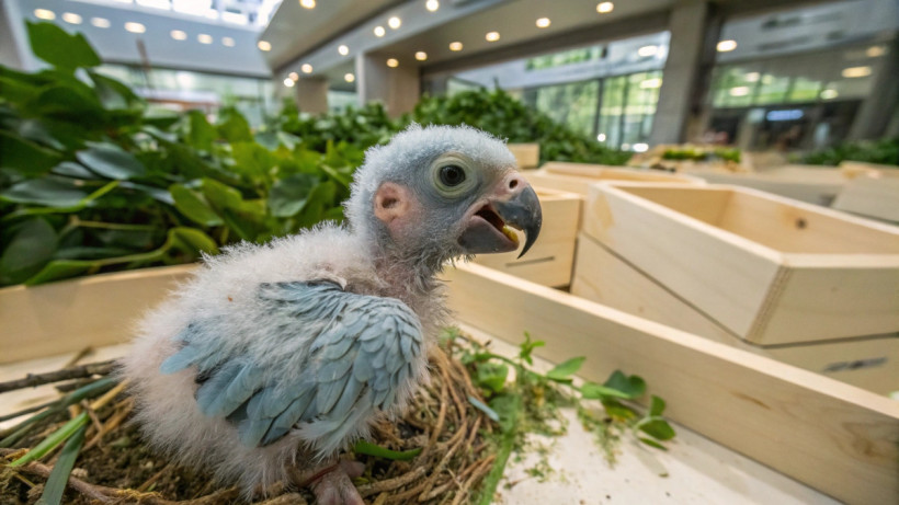  © El.kz / Recraft / Динмухамед БЕЙСЕМБАЕВ 