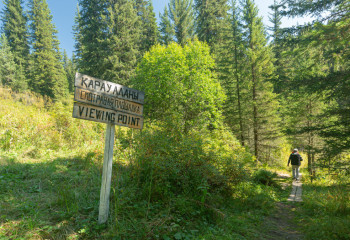 Қазақстан ормандарының қазіргі жағдайы қандай?