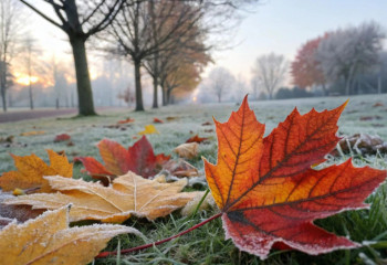 19 қазанда ауа райы қандай болады?