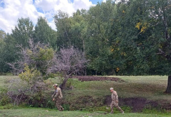 Бүгін орман шаруашылығы қызметкерлері күні