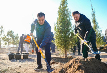 Астанада 1 млн-нан астам жасыл желек отырғызылады
