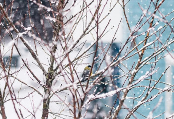 19 қазанда Қазақстанда ауа райы қандай болады?