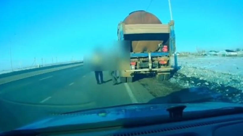  видеодан кадр 