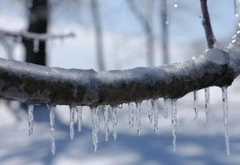 Ел солтүстігінде көктайғақ болады