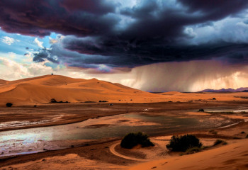 Климатологи: к концу века Сахара станет дождливее на 75% – но это плохая новость