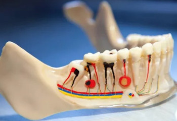 Тіс күтімін жақсарту жолдары – маман кеңесі
