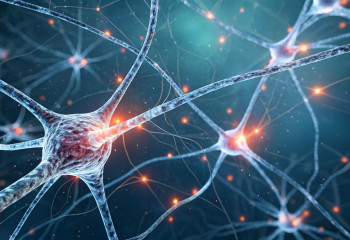 От живых клеток к суперкомпьютерам: учёные создали первый «мозговой» процессор