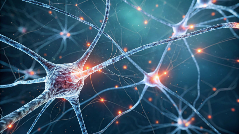  © El.kz / Recraft / Динмухамед БЕЙСЕМБАЕВ 