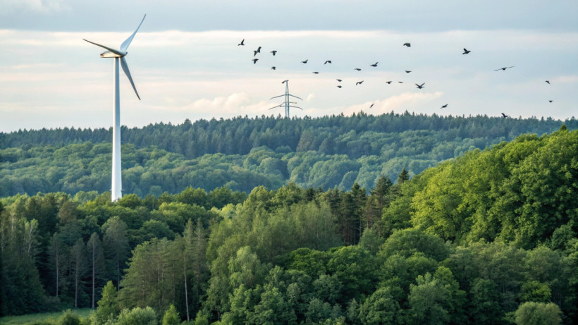  © El.kz / Recraft / Динмухамед БЕЙСЕМБАЕВ 