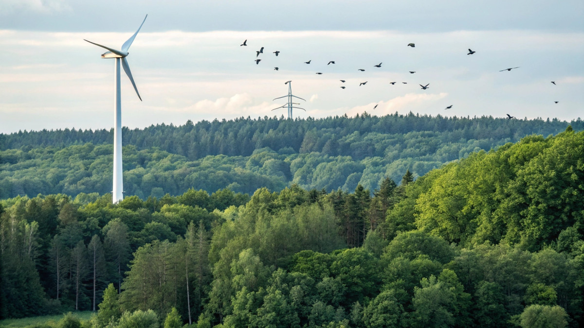  © El.kz / Recraft / Динмухамед БЕЙСЕМБАЕВ 