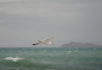 Kazakhstan and Azerbaijan to create unified tourist route