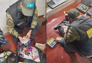 ІІМ Ресейдегі трансұлттық интернет-алаяқтар желісін әшкереледі