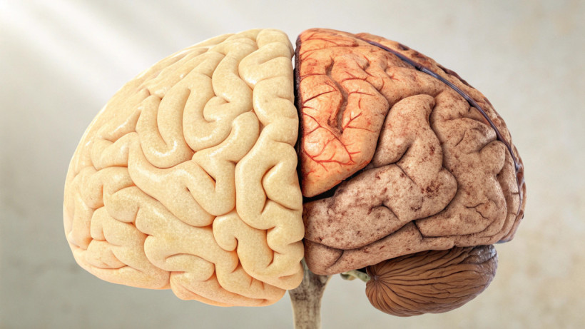  © El.kz / Recraft / Динмухамед БЕЙСЕМБАЕВ 