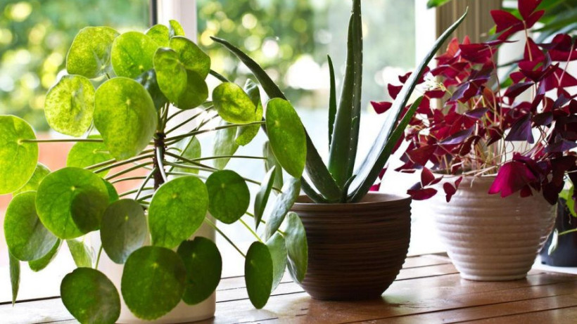  Ашық дереккөзден 