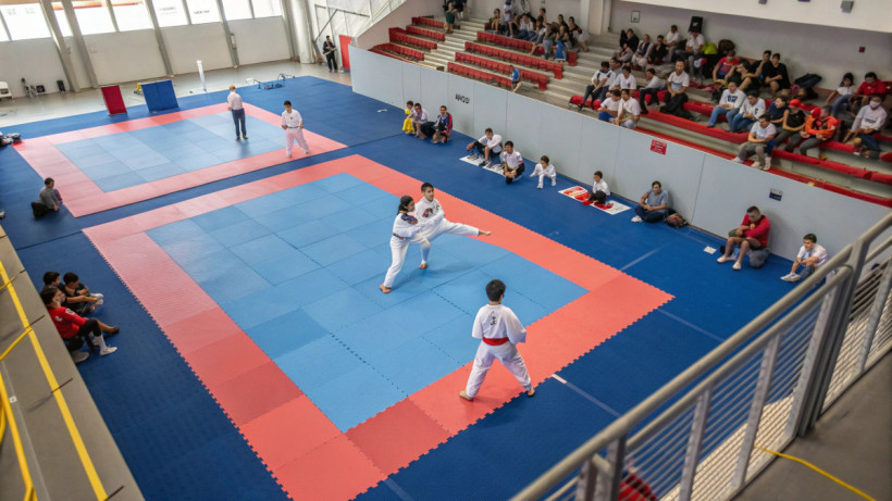  © El.kz / Recraft / Динмухамед БЕЙСЕМБАЕВ 