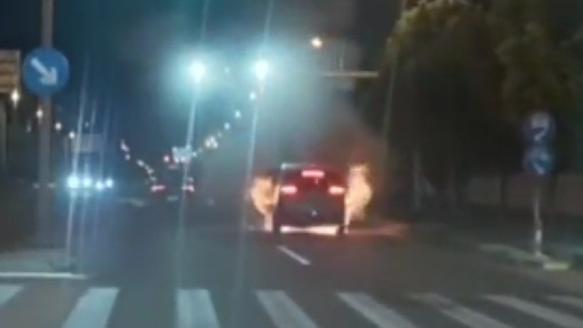  Видеодан кадр 