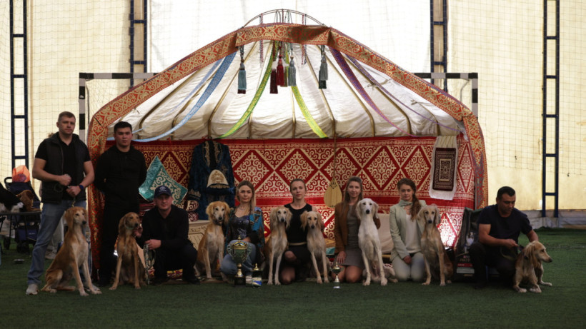  Қазақстан кинолгтар одағы 