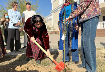 Республика күні: Ақтауда өткен отбасы фестивалі аясында ағаш отырғызылды