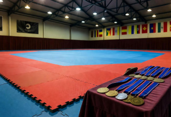 Казахстанка завоевала историческую медаль на ЧМ по таеквондо