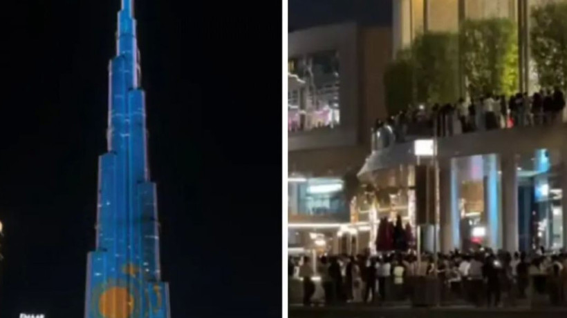  видеодан кадр 