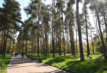 Алматының ауасы қашан жақсарады?