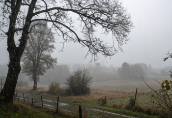 Синоптики прогнозируют дожди и туманы в Казахстане