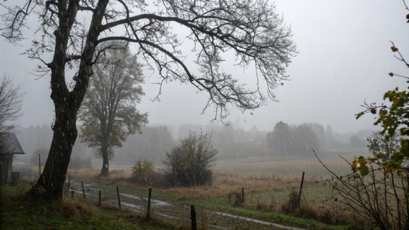  © El.kz / Recraft / Динмухамед БЕЙСЕМБАЕВ 