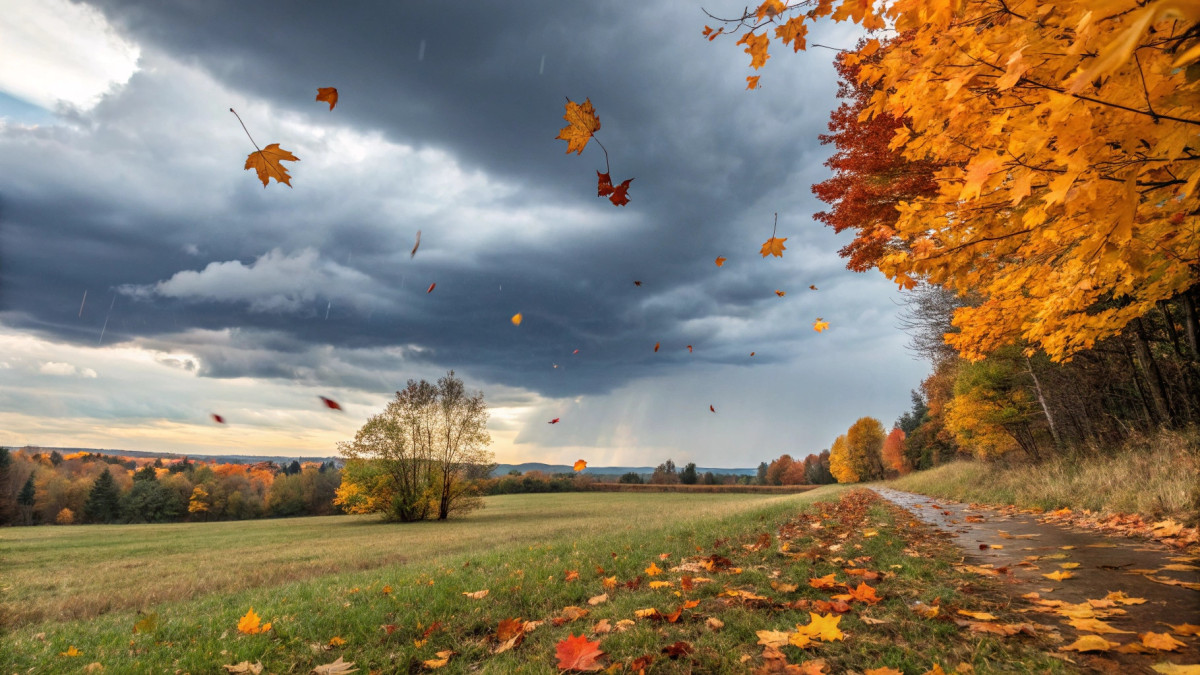  © El.kz / Recraft / Динмухамед БЕЙСЕМБАЕВ 