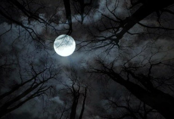 Айдан қорқу фобиясы жайлы естідіңіз бе?