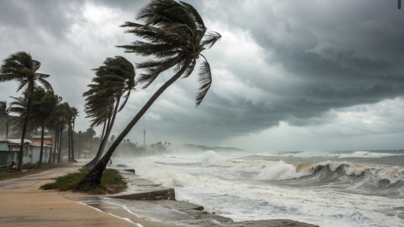  El.kz / Recraft/ Dinmukhamed Beissembayev 