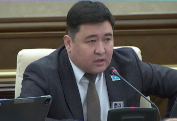 Депутат қауіпті пранктерге заңмен тосқауыл қоюды ұсынды