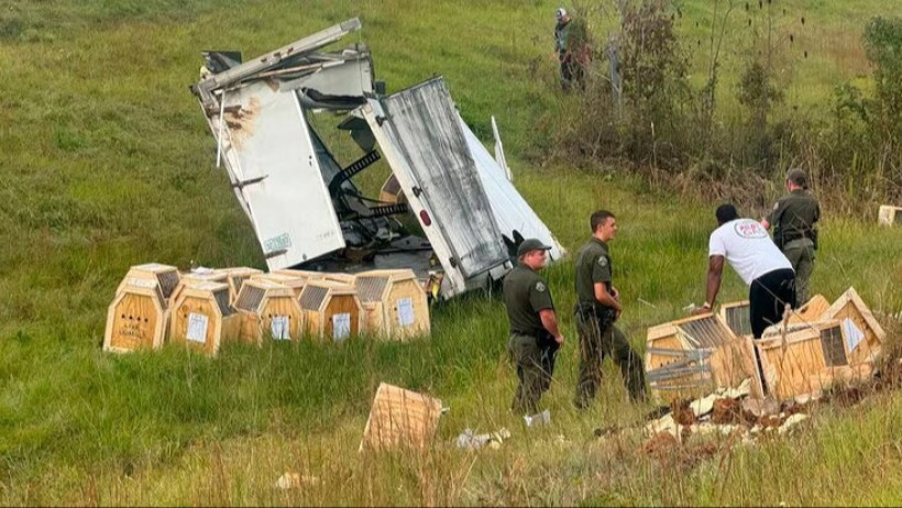  Видеодан кадр 