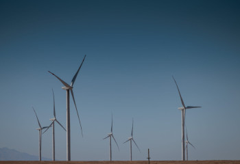 Жасыл экономика жаңа дағдыларды талап етеді