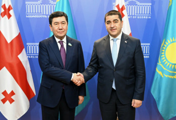 Ерлан Қошанов грузиялық депутаттармен алдағы парламенттік реформаны талқылады