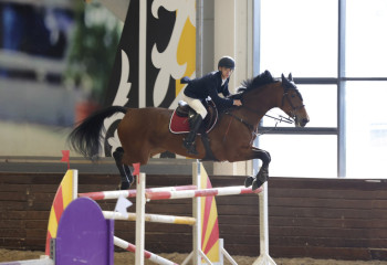 В Астане проходит Чемпионат Республики Казахстан по конкуру