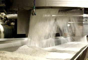 Қазақстанда ең ірі қант зауыты салынады