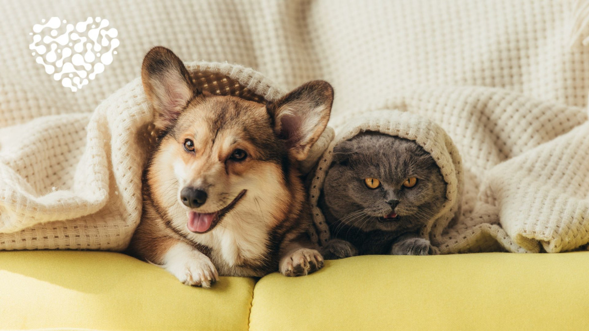  Ашық дереккөзден 