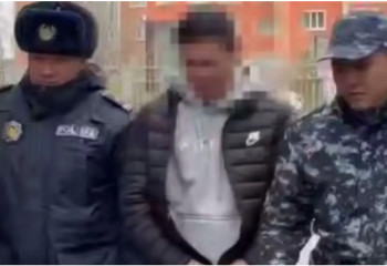 Заң және тәртіп: Желі 