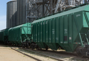 Қазақстан биыл 2 миллион тонна жаңа астық экспорттады