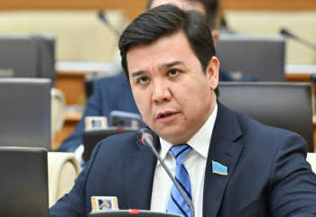 38 миллион шот бұғатталған: Мәжіліс депутаты әлеуметтік шот енгізуді ұсынды