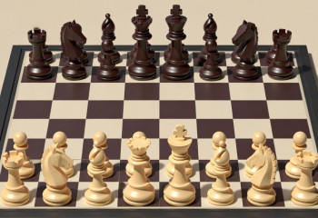 Казахстанский шахматист Денис Махнёв бросил вызов супергроссмейстеру на Кубке мира