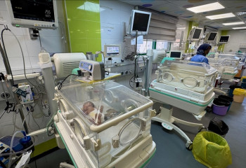 Scientists developing artificial wombs to help premature babies survive